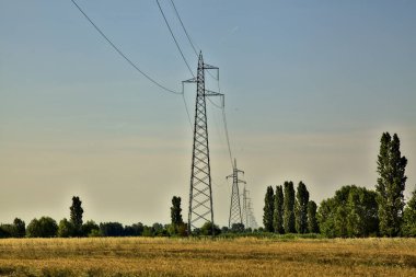 Yazın günbatımında elektrik direkleriyle buğday tarlası