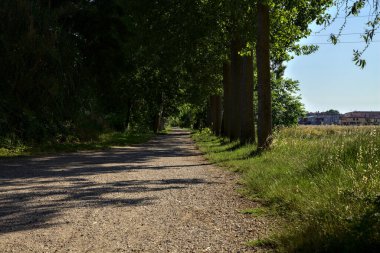 Yazın gün batımında İtalya kırsalında bir tarlanın yanındaki ağaçlarla çevrili bir korulukta çakıl yolu.