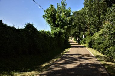 Yazın kırsal kesimde demiryolu kavşağının yanındaki korulukta.