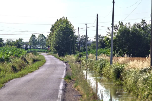 夏天日落时分 在意大利乡村 沿着河边的一条路 旁边是田野 — 图库照片