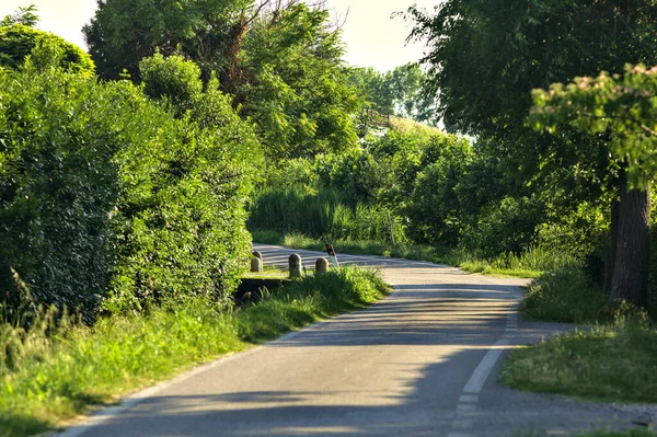 Yazın gün batımında kırsal kesimde bir grup kır evinin ortasında.