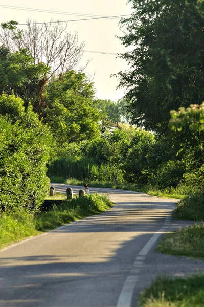 Straße Auf Dem Land Inmitten Einer Landhausgruppe Bei Sonnenuntergang Sommer — Stockfoto