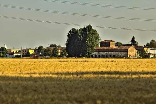 Mansion Wheat Field Village Backgorund Italian Countryside Summer Sunset — Stock Photo, Image