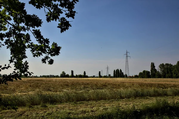 Campo Grano Con Tralicci Elettrici Estate Tramonto — Foto Stock