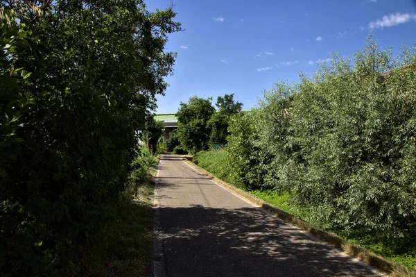 Straße Einem Wäldchen Neben Einem Bahnübergang Auf Dem Land Sommer — Stockfoto