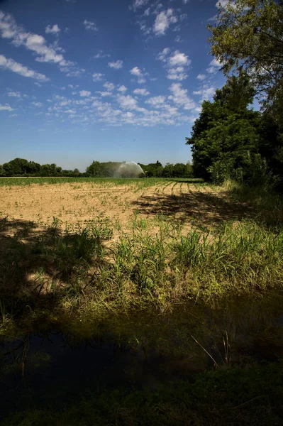 Campo Campo Verão Com Aspersor Agrícola Distância — Fotografia de Stock