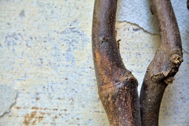 Beyaz arka planda tahta parçaları.