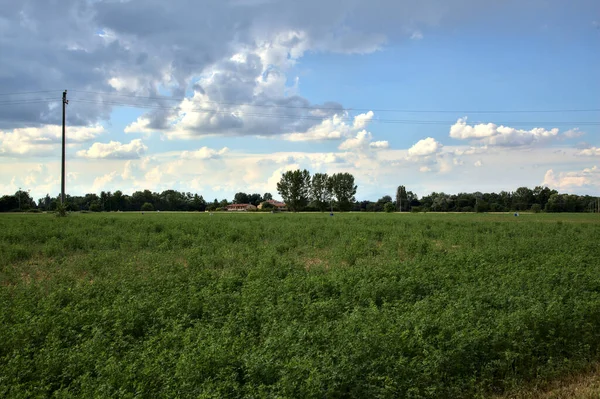 Termesztetlen Terület Egy Nyári Napon Olasz Vidéken — Stock Fotó