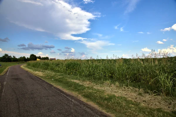 Small Road Summer Day Italian Countryside — Stock Photo, Image