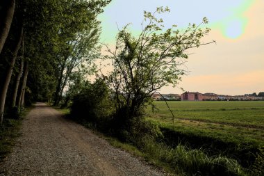 Gün batımında kavak ağaçlarıyla çevrili bir tarlanın yanındaki çakıl yolu.