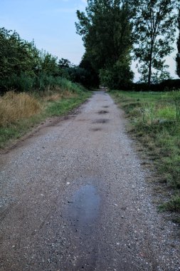 Gün batımında bir korunun yanında su birikintileri olan çakıl yolu.