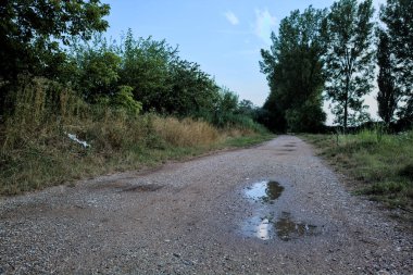 Gün batımında bir korunun yanında su birikintileri olan çakıl yolu.