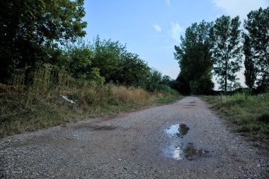 Gün batımında bir korunun yanında su birikintileri olan çakıl yolu.