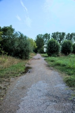 Gün batımında bir korunun yanında su birikintileri olan çakıl yolu.