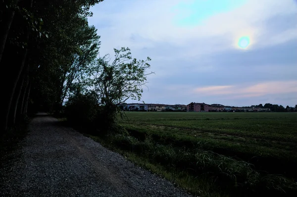 Gravel Path Next Field Bordered Poplars Sunset — Stock Photo, Image