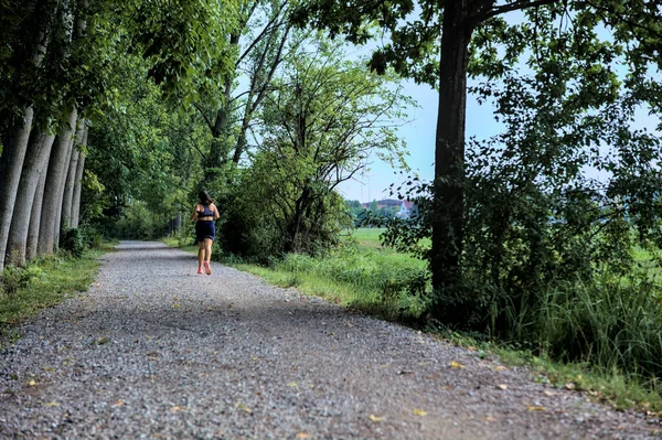 Gün batımında kavak ağaçlarıyla çevrili bir tarlanın yanındaki çakıl yolu.