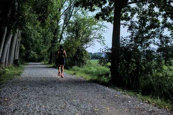 Gün batımında kavak ağaçlarıyla çevrili bir tarlanın yanındaki çakıl yolu.