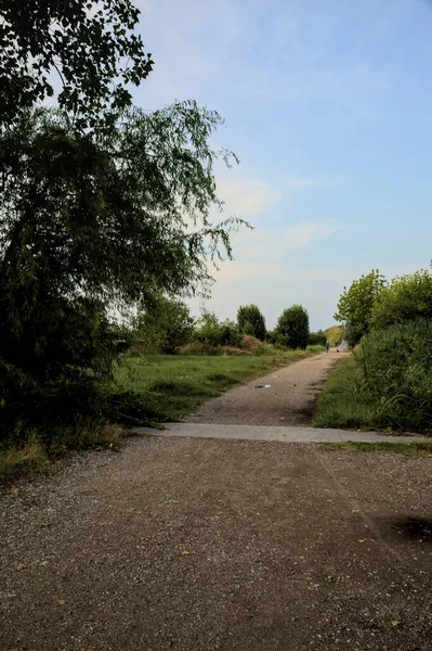 Гравійний Шлях Калюжами Біля Гаю Заході Сонця — стокове фото