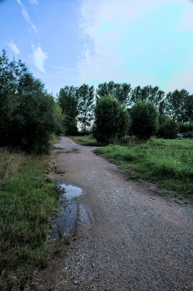 Caminho Cascalho Com Poças Lado Bosque Pôr Sol — Fotografia de Stock