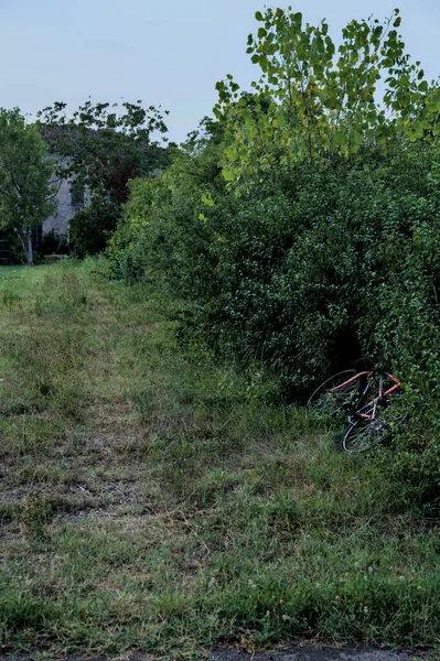 日没時に放棄された家の隣の茂みで放棄された自転車 — ストック写真
