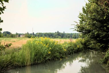 Gün batımında kırsalda bir tarlanın yanında sarı çiçekli su akıntısı.