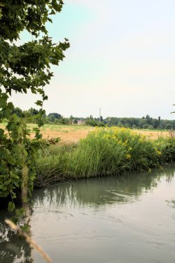 Gün batımında kırsalda bir tarlanın yanında sarı çiçekli su akıntısı.