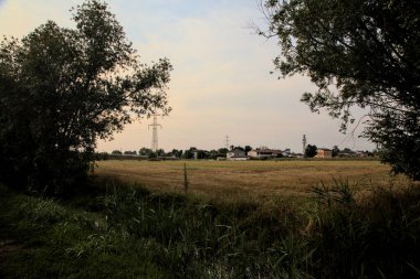 Gün batımında bir tarlanın önünde ağaçlarla çevrili bir yol ve köy.