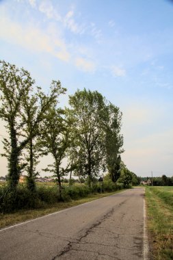 Yazın günbatımında İtalya kırsalında tarlalarla çevrili bir yol.