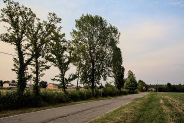 Yazın günbatımında İtalya kırsalında tarlalarla çevrili bir yol.