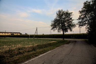 Linden gün batımında bir kır yolunda