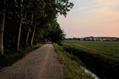 Gün batımında kavak ağaçlarıyla çevrili bir tarlanın yanındaki çakıl yolu.