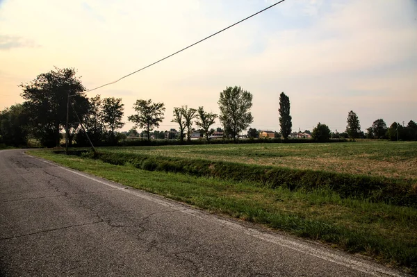 Tiglio Una Curva Una Strada Campagna Tramonto — Foto Stock