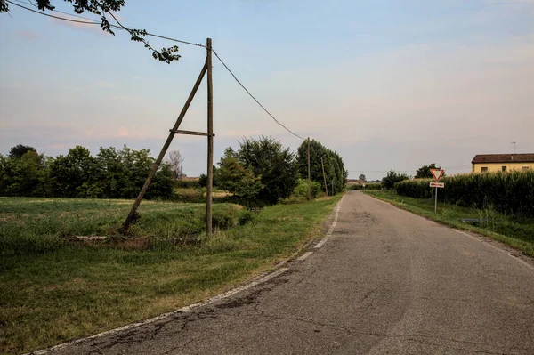 여름해질 이탈리아 시골의 경계를 이루는 — 스톡 사진