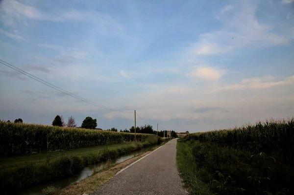 Droga Granicząca Polami Włoskiej Wsi Zachodzie Słońca Lecie — Zdjęcie stockowe