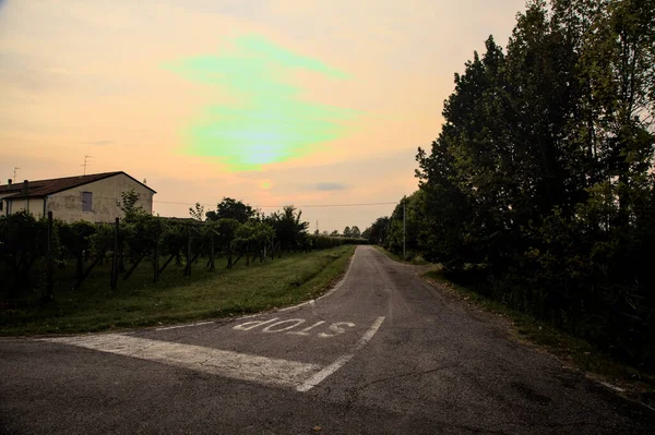 Von Feldern Gesäumte Straße Der Italienischen Landschaft Bei Sonnenuntergang Sommer — Stockfoto