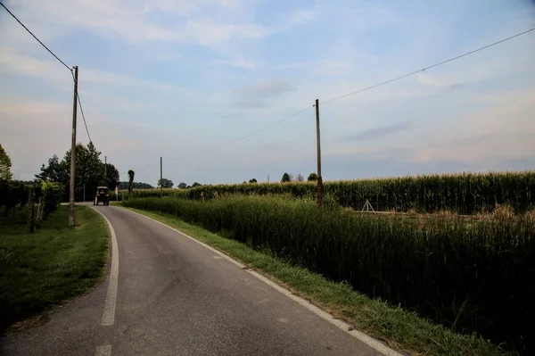 Camino Bordeado Por Campos Campo Italiano Atardecer Verano —  Fotos de Stock