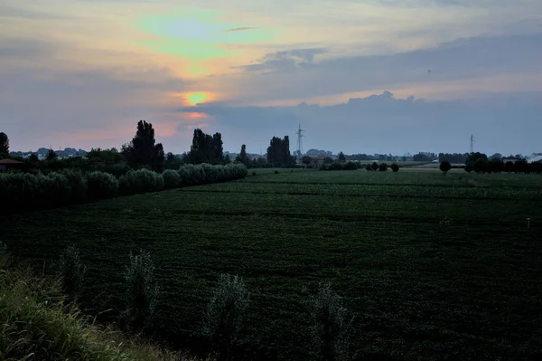 Pola Kukurydzy Drzew Domów Wiejskich Oddali Zachodzie Słońca Lecie — Zdjęcie stockowe