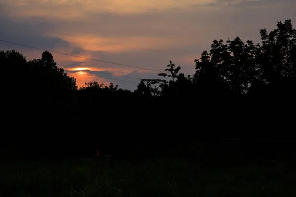 Sonnenuntergangshimmel Auf Einem Feld Das Von Einem Baum Umrahmt Wird — Stockfoto
