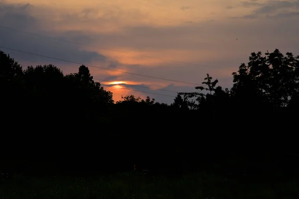 Céu Por Sol Campo Emoldurado Por Uma Árvore — Fotografia de Stock