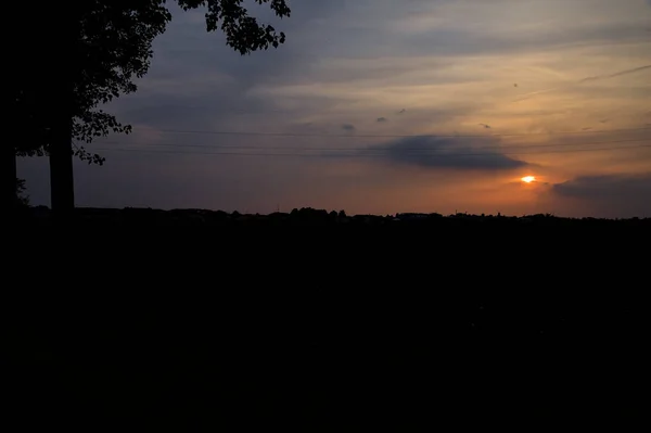 Sonnenuntergangshimmel Auf Einem Feld Das Von Einem Baum Umrahmt Wird — Stockfoto