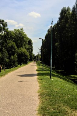 Yazın öğleden sonra parkta bir patika