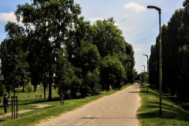 Yazın öğleden sonra parkta bir patika