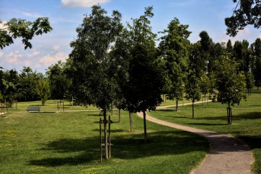Yazın öğleden sonra parkta bir patika