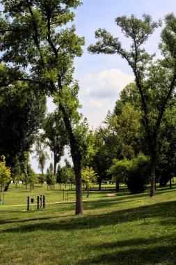 Yazın parkta bir nehrin yanında açık alan
