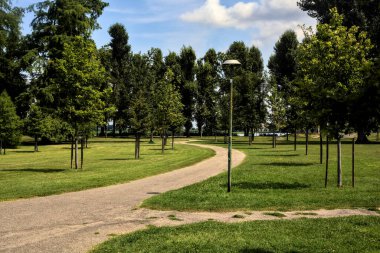 Yazın açık bir günde parkta iki yol arasında ayrım yap.