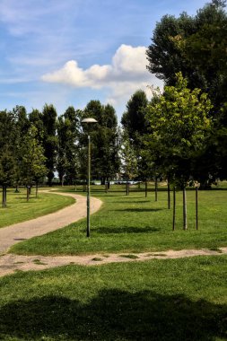 Yazın açık bir günde parkta iki yol arasında ayrım yap.
