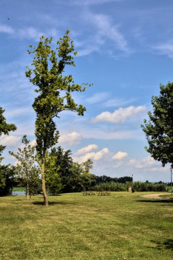 Yazın parkta bir nehrin yanında açık alan