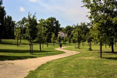 Yazın parkta bir adam uzaklarda yürürken