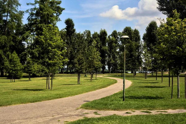 Fork between two paths in a park on a clear day in summer