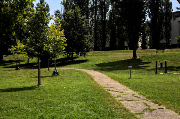 Path in a park in the afternoon in summer